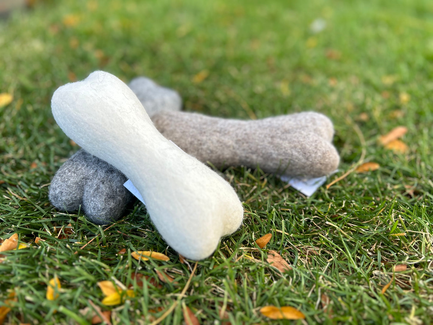 Felted Dog Bone
